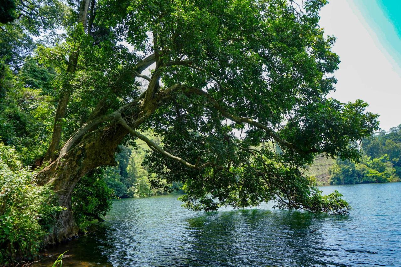 Lake Nyamirima Cottages Fort Portal Екстер'єр фото